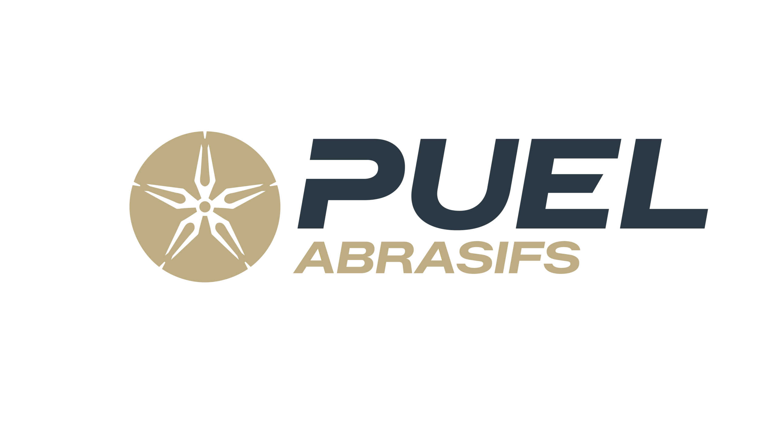 Puel Abrasifs